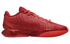 Nike LeBron 21 James Gang HF5951-600 42 brown