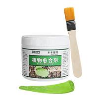 Tree Wound Bonsai Cut Paste Smear Agent Pruning Compound Sealer with Brush juoda
