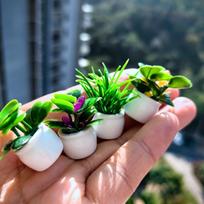 Interjero lipdukas Bonsai rinkinys