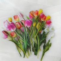 Lipdukų rinkinys, tulip record