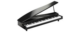 KORG MICROPIANO Mini pianinas Mini klaviatūra 61 klavišas Juoda 61 demonstracinė daina Automatiškai grojamos Įmontuotos