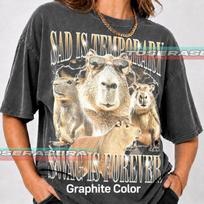 Capybara Graphic T-Shirt –  Sad Is Temporary Swag Is Forever  Tee FD L gray
