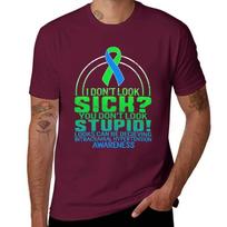 I Don't Look Sick, You Don't Look Stupid, Looks Can Be Deceiving, IIH Awareness, Pseudotumor Cerebri, Idiopathic Intracr T-Shirt S kaštoninė