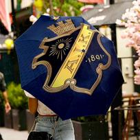 AIK Fotboll Print Umbrella Automatic Opening/ Closing - Portable Foldable Design - Daily use for Travel/Outdoor - Gift for Birthday Three-fold umbrella