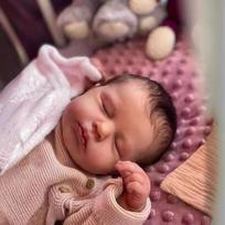 (49cm Pilnas silikoninis vinilas) 19 colių tikroviškas reborn mažylis Bebe lėlė Loulou Reborn kūdikis minkšto kūno lėlė žaislas Kalėdų staigmena dovanos Lėlės žaislas 49cmClothBody