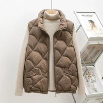 Moteriška liemenė žieminė berankovė moteriška šilta medvilninė striukė Liemenė Korėjietiška madinga paltai Drabužiai 3XL beige