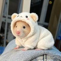 Small Pet Winter Plush Onesie Hamsters Sugar Gliders Warm Outdoor Outfit White