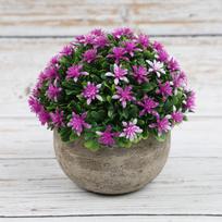 Bonsai Artificial Potted Plant: Wedding, Home, Hotel, Indoor Decor, Desktop Ornament, Photography Prop. black