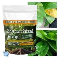 100g Plant Growth Promoter Plant Growth Fertilizer Nutrient Rich Nutrients Fast Rooting Powder For Mixed Culture Hydroponics 100g green