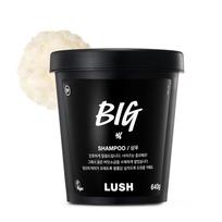 [Lush] Didelis jūros druskos šampūnas 640 g black
