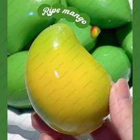 Crunchy Potato Stress Ball Squishy Toy Non-Bounce Squeeze Ball Fidget Toy ASMR Sensory Stress Relief Toys for Kids  Adults Gift