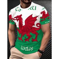 Men'S Summer Wales Dragon Sports Fan T-Shirt, Flag Print Green White Color Block, Trendy Streetwear Tee S red