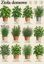 Plakatas Namų žolelės Vintažinis botaninis žolelių atlasas