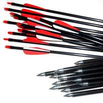 Archery Hunting Nock Feather Fletched Arrows Fiberglass Rod Target Practice Fiber Glass Arrows Archery Bow 5 24pcs X 29 inch