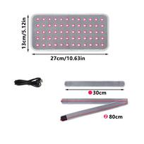 Veterinary Use Red Light LED Therapy Physiotherapy Equipment for Pet Dog Pain Relief Pain Reduce pilka