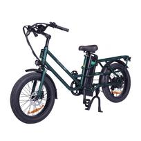 Adult electric bike GOGOBEST GF200, 500W motor, 48V15.6Ah battery, electric bike with 20 inch wide tires žalia