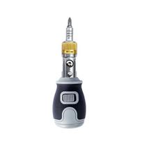 Multi-angle Ratchet Screwdriver Set with Phillips, Flathead, and Torx Bits gray