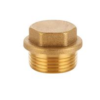Žalvarinis išorinio sriegio vamzdžio kištukas 1/2-inch External Thread (20mm)