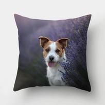 1 gabalas šuns rašto pagalvėlės užvalkalas sofa Namų dekoras Automobilių biuro reikmenys lauko pagalvė 20x20Inch