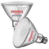 Explux LED Bulb, E26 Base, High Beam Bulb, 300W Equivalent, Daylight White, 4000lm Brightness, Non-Dimmable, Full Glass Construction, Outdoor