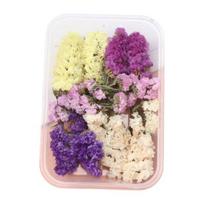 Džiovintų gėlių rinkinys Natūralios gėlės Tikros didmeninės džiovintos gėlės „pasidaryk pats“ Amžinos gėlės Medžiaga