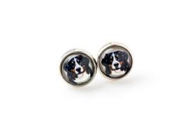 Bernese Mountain Dog, Berner Sennenhund - earrings your photo handmade, own photo, jewelry from the Art.-Dog brand sidabras