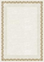 Dipl.popierius 170g Arkady Z, DDPNOB221068