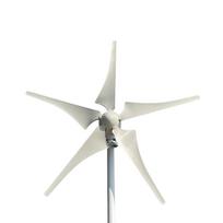 Wind Power Turbine Generator 12V 24V 48V 3000W 5000W 8000W Indmill Generator For Home With MPPT Controller