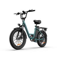 URLIFE E20 500W Electric Fat Tire Bike, 60KM Range, 20 x3.0  All-Terrain Tires, Front Suspension, LCD Display, LED Lights, Cargo Rack