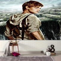 1pc Newt Thomas in The Maze Runner Tapestry, Living Room, Bedroom, Office, Party Decor, Ideal Festive Gift 150cmx200cm