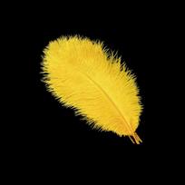10Pcs 15-20cm Ostrich Feathers Table Accessories Stage Props Artificial Ostrich Feather Fluffy Carnival Plumas Decor