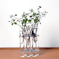 Clear Glass 6-Tubes Combination Flower Vase Flowerpot office and home Decoration gray