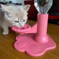 Prevent Black Chin Cat Auto Water Bowl Gravity Refill Pet Water Station  Travel rožinė
