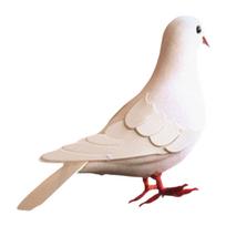 Simulation foam pigeon model lessons orumament learning toys artificial