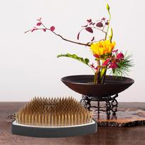 Arc shaped Flower Kenzan Holder Flower Arrangement Needle Pin Arranging Tool Accessories(S )