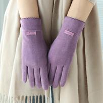 Full Finger  Gloves Solid Color Winter Mittens Women Suede Velvet  Gloves  Driving violetinė
