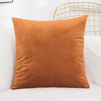 2 Pack Velvet Pillow Covers Solid Microfiber Cushion Cases for Sofa Home Decor Multiple Sizes Available 30X50cm ruda