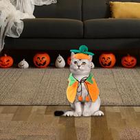 Katės Helovino Moliūgo Apsiausto Kostiumas Šunims Cosplay S S_Pumpkin Cloak Set brown