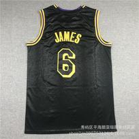 Embroidered NBA Los Angeles Lakers 6 Basketball Jersey Men Women Sportswear Breathable Performance Tee Fall XXL