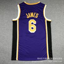 Embroidered NBA Los Angeles Lakers 6 Basketball Jersey Men Women Sportswear Breathable Performance Tee Fall Small black