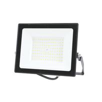 LED prožektorius PNI GreenHouse WS130 100 W, maitinimo šaltinis 230 V, 8700 lm, 6500 K, IP65