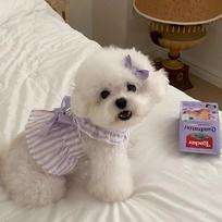 Dog cat spring summer cute little fly sleeves striped dress pet puppy clothes thin Bichon Yorkshire S (recommended weight 3-2.5 kg) gray