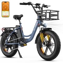Flyrun F2013 Electric Bike for Adults with 48V 13AH Removable Battery mėlyna