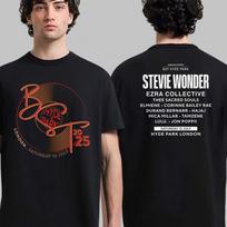 Stevie Wonder BST Hyde Park London 2025 Event Tee On July 12 2025 T-Shirt Mens Womens Tees Top L brown
