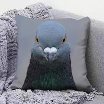 Balandis F-Funny Memas Namų Sofos Pagalvės Užvalkalai Ir Dekoratyvūs Individualūs Pagalvių Užvalkalai Peach skin 18*18(CM)-1Pcs gray