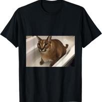 Funny Big Floppa My Beloved Big Floppa Meme Cat Bathtub Men Women Girls Kids T-Shirt XXXL juoda