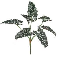 Style Artificial Alocasia Odora Leaf Plant With Handcrafted Basket For Home Decor žalia