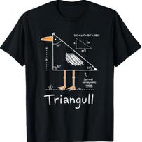 Triangull Trikampis Žuvėda Paukštis Žaidimas Žodžiais Juokingi Matematikos Mokytojo Marškinėliai 2XL įvairiaspalvis