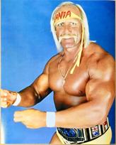 Hulk Hogan Photo 8x10 Picture WWF WWE WCW NWO beige