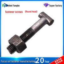 M12 Galvanized T-Bolt Screw Nut for Construction M12*65 (Round Head) / Set
